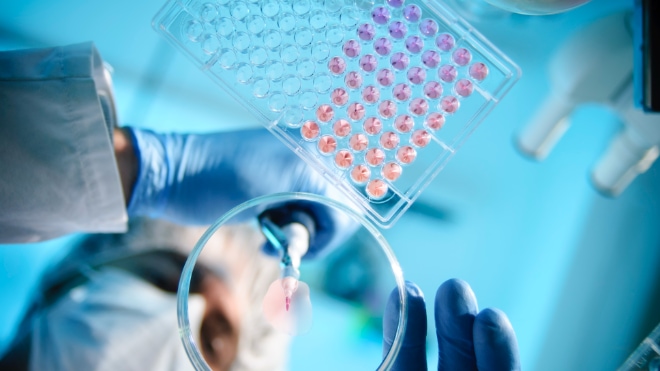 A scientist using a pipette with a microtiter plate and a petri dish.
